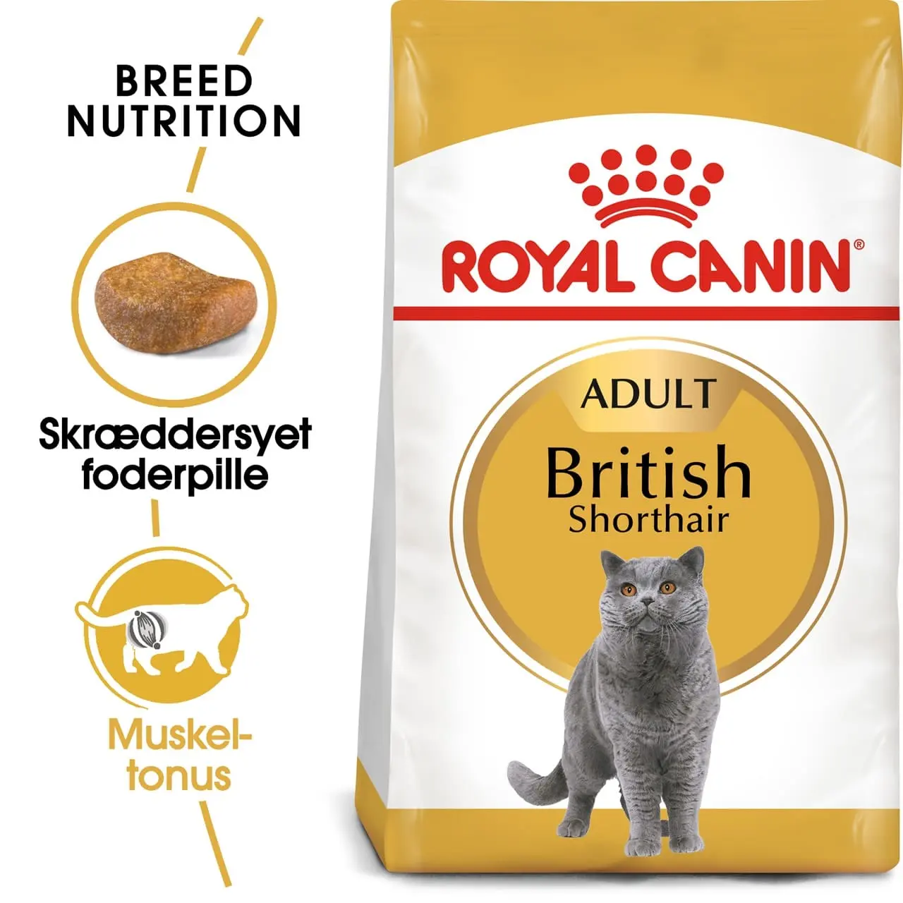 Royal Canin British shorthair 10 kg